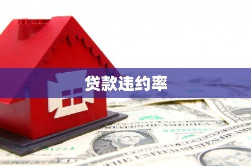 双河贷款违约率