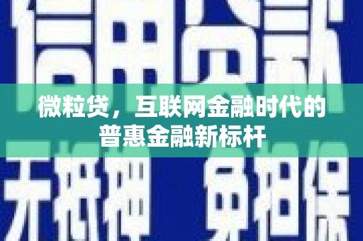 双河微粒贷，互联网金融时代的普惠金融新标杆