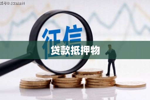 双河贷款抵押物
