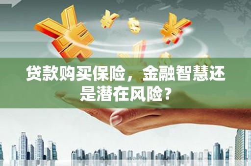 双河贷款购买保险，金融智慧还是潜在风险？