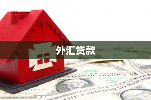 双河外汇贷款
