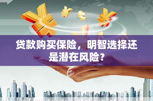 双河贷款购买保险，明智选择还是潜在风险？