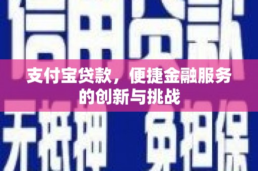 双河支付宝贷款，便捷金融服务的创新与挑战