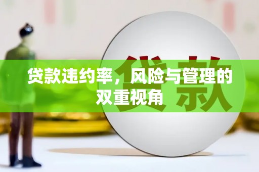 双河贷款违约率，风险与管理的双重视角