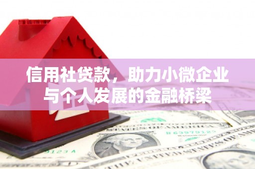 双河信用社贷款，助力小微企业与个人发展的金融桥梁