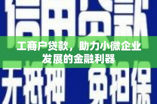 双河工商户贷款，助力小微企业发展的金融利器