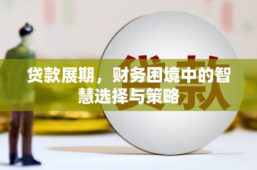 双河贷款展期，财务困境中的智慧选择与策略