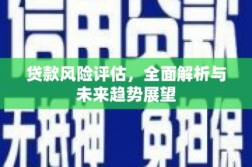 双河贷款风险评估，全面解析与未来趋势展望