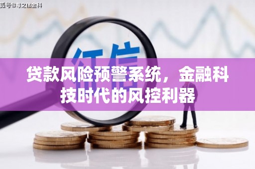 双河贷款风险预警系统，金融科技时代的风控利器