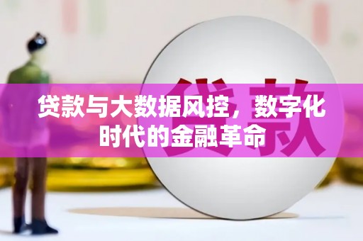双河贷款与大数据风控，数字化时代的金融革命