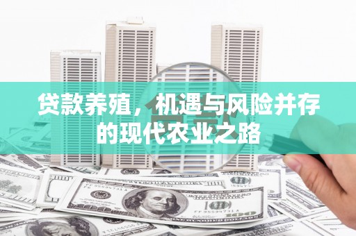 双河贷款养殖，机遇与风险并存的现代农业之路
