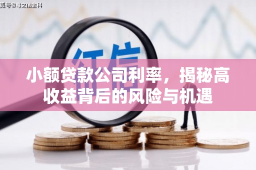 双河小额贷款公司利率，揭秘高收益背后的风险与机遇