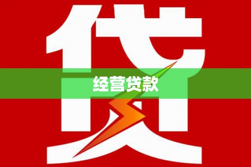 双河经营贷款