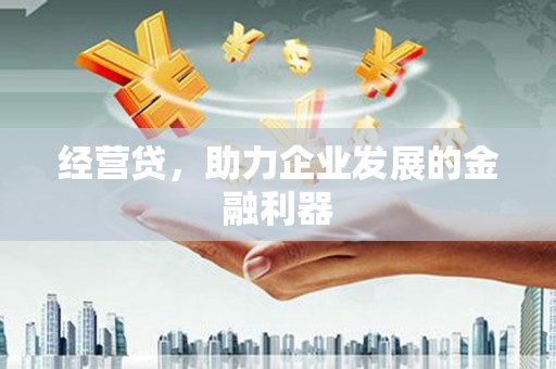 双河经营贷，助力企业发展的金融利器