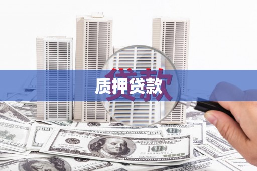 双河质押贷款