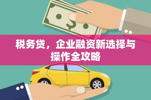 双河税务贷，企业融资新选择与操作全攻略