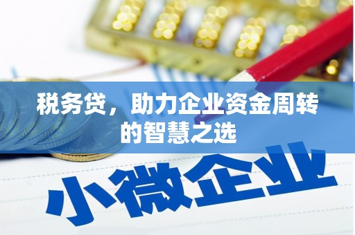 双河税务贷，助力企业资金周转的智慧之选