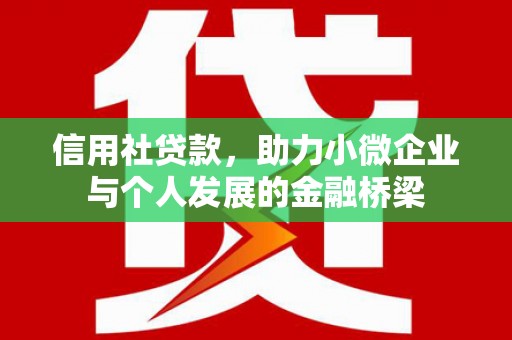双河信用社贷款，助力小微企业与个人发展的金融桥梁