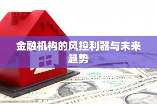 双河金融机构的风控利器与未来趋势
