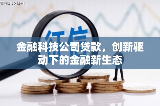 双河金融科技公司贷款，创新驱动下的金融新生态