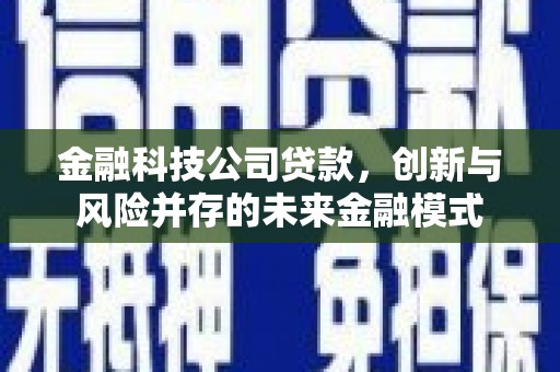 双河金融科技公司贷款，创新与风险并存的未来金融模式