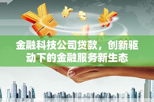 双河金融科技公司贷款，创新驱动下的金融服务新生态