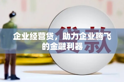 双河企业经营贷，助力企业腾飞的金融利器