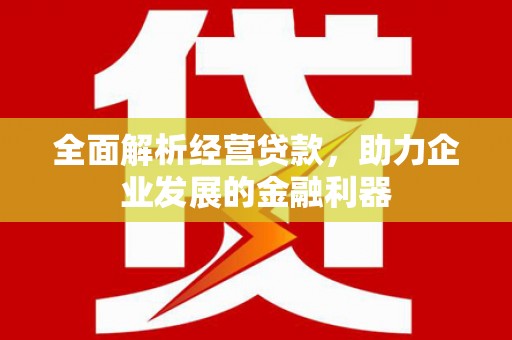 双河全面解析经营贷款，助力企业发展的金融利器