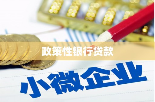 双河政策性银行贷款