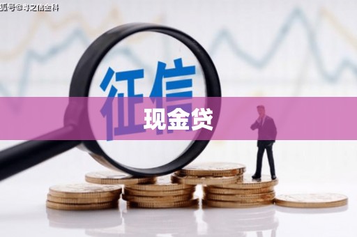 双河现金贷