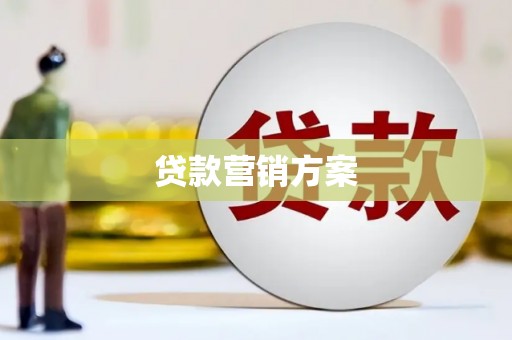 双河贷款营销方案
