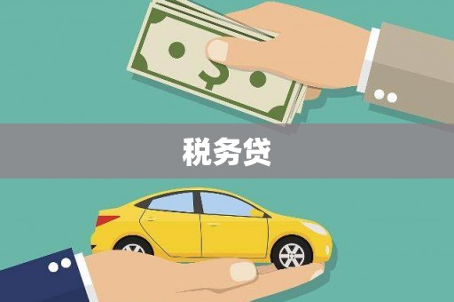 双河税务贷