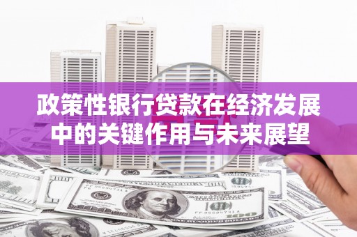 双河政策性银行贷款在经济发展中的关键作用与未来展望