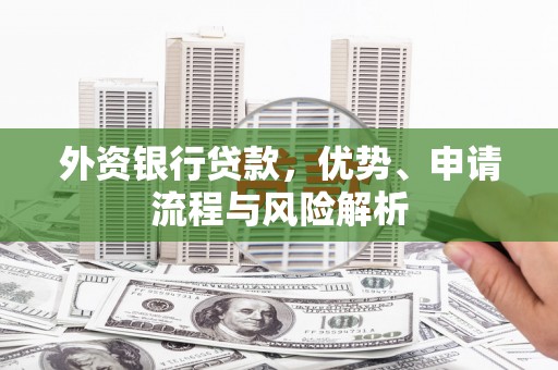 双河外资银行贷款，优势、申请流程与风险解析