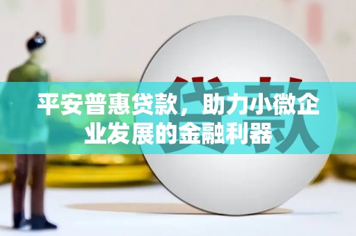 双河平安普惠贷款，助力小微企业发展的金融利器
