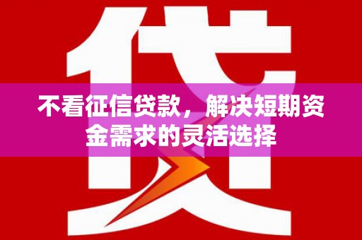 双河不看征信贷款，解决短期资金需求的灵活选择