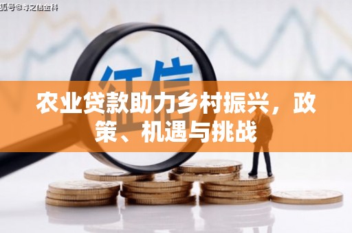双河农业贷款助力乡村振兴，政策、机遇与挑战