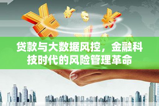 双河贷款与大数据风控，金融科技时代的风险管理革命