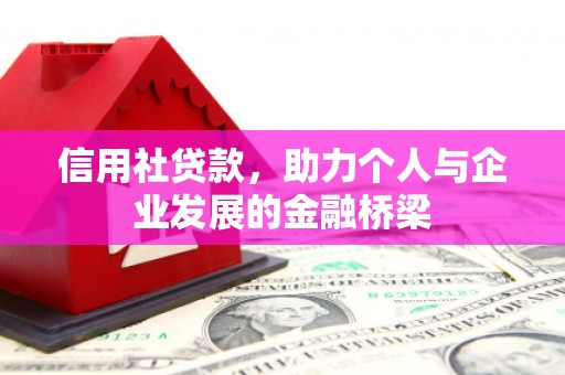双河信用社贷款，助力个人与企业发展的金融桥梁