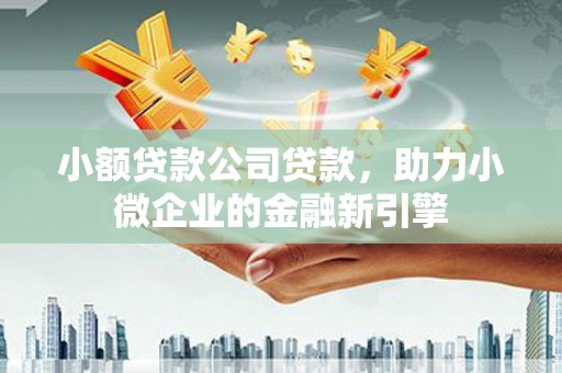 双河小额贷款公司贷款，助力小微企业的金融新引擎