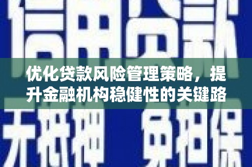 双河优化贷款风险管理策略，提升金融机构稳健性的关键路径