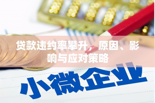 双河贷款违约率攀升，原因、影响与应对策略