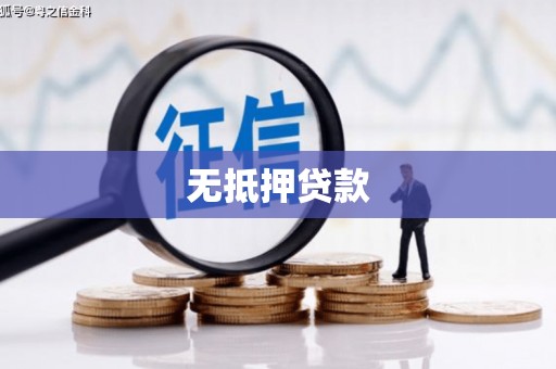 双河无抵押贷款