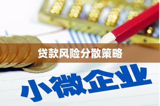 双河贷款风险分散策略