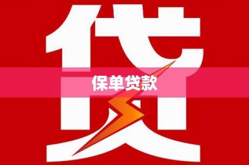 双河保单贷款