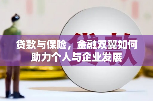 双河贷款与保险，金融双翼如何助力个人与企业发展