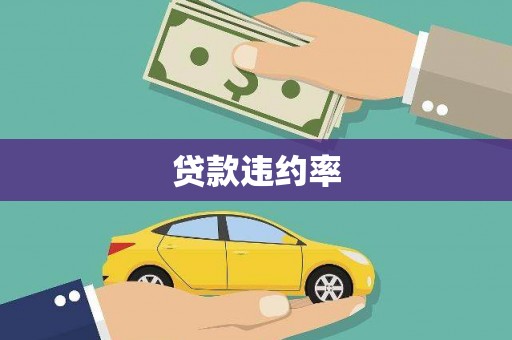 双河贷款违约率
