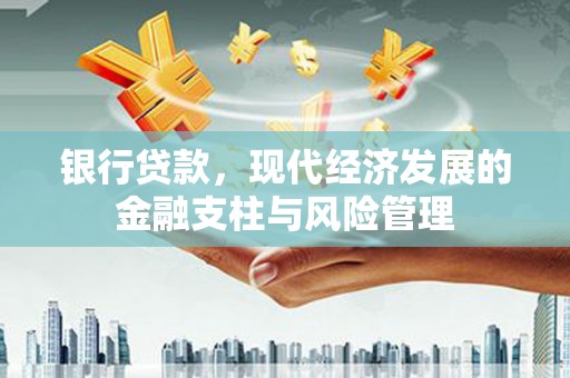 双河银行贷款，现代经济发展的金融支柱与风险管理