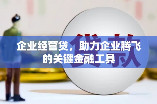 双河企业经营贷，助力企业腾飞的关键金融工具