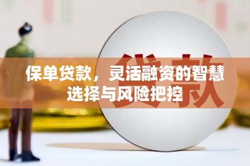 双河保单贷款，灵活融资的智慧选择与风险把控